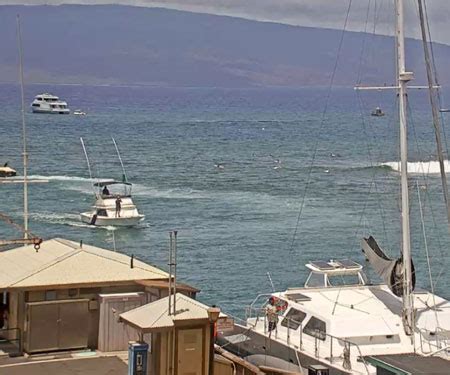 lahaina webcam|Lahaina Harbor & Breakwall Webcam